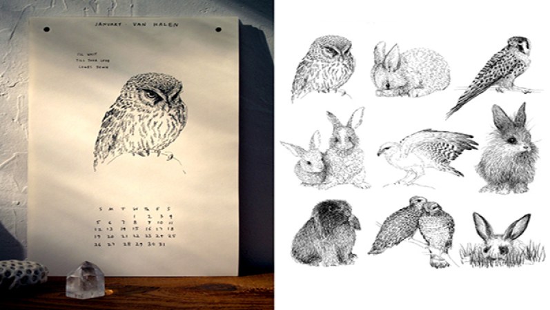 Calendario de las aves salvajes desconocidas. Disponible en thewildunknown.com, $30.