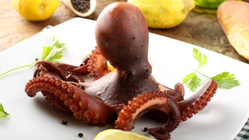 Pulpo recién pescado. Aunque cocido entero de una pieza tiene este aspecto infernal es aun peor en Corea del sur donde lo sirven vivo sobre el plato moviendo aun los tentáculos.