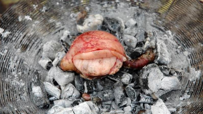 Testículos frescos. Cuando se capa a las ovejas en la Patagonia los entendidos aprovechan el momento para lanzar el testículo sobre el fuego vuelta y vuelta y comérselo en dos bocados tierno y calentito.