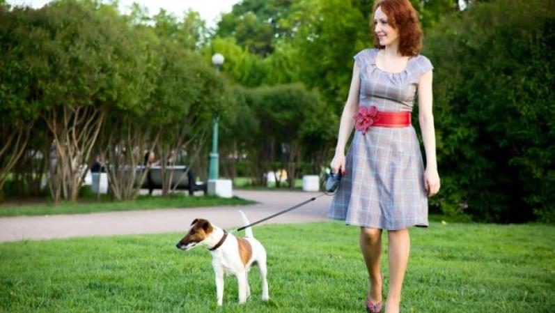 Sacar a pasear el perro. Es una buena ocasión para pasar un buen momento con la mascota familiar y además hacer ejercicio. Aprovecha lo mejor del verano y mueve tu cuerpo por las calles de tu barrio.