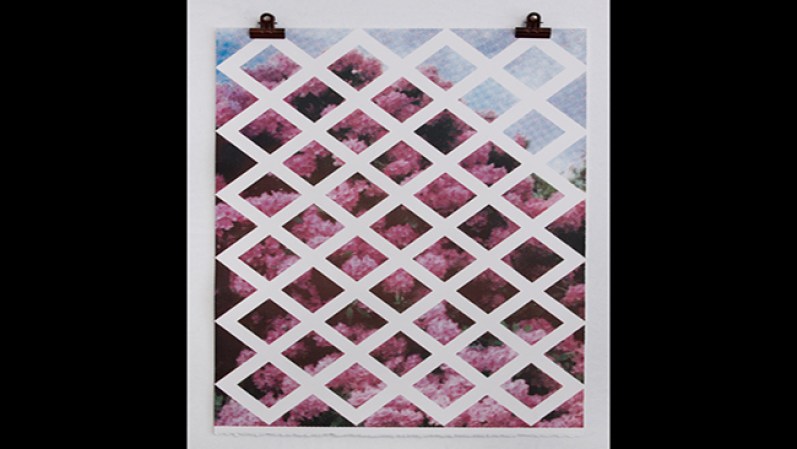 Las flores traen alegría y vida a cualquier espacio. Encuentra este poster en jointheprintclub.com, $100.