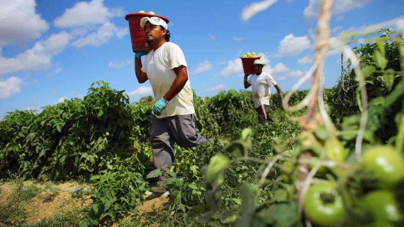 Crece la economía mexicana