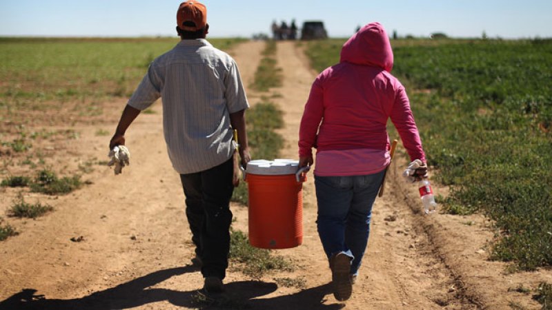 Inmigración ilegal crece en Texas