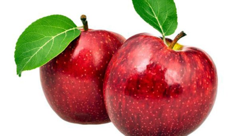 Ofrecen nueva receta contra la obesidad