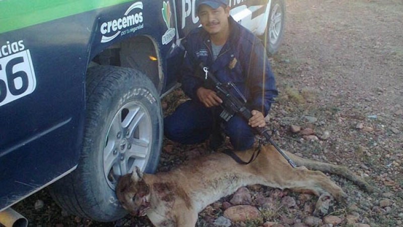 Policía presume foto de puma muerto