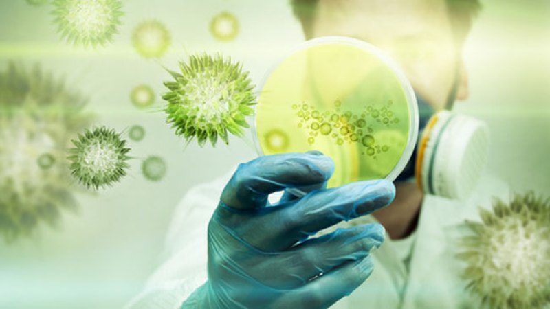 Frenan a súper bacteria en EEUU