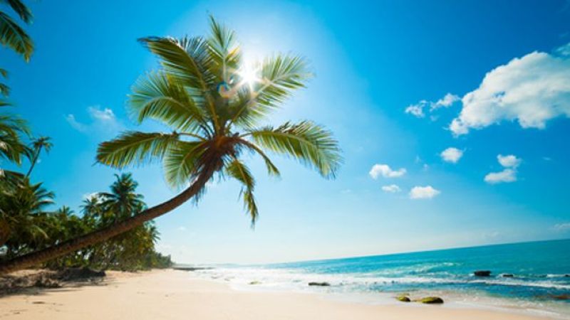 ¡Escápate a estas playas!