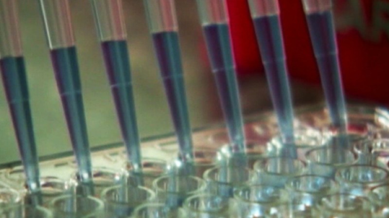 Vacuna contra virus del Nilo