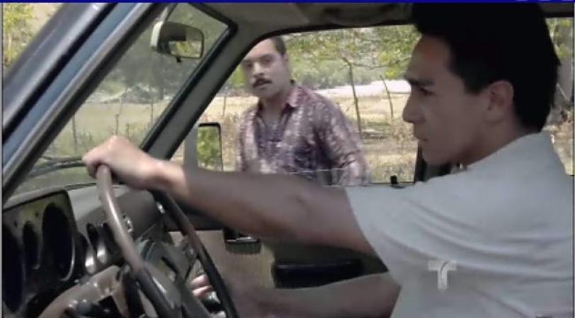 Y sin piedad lo matan atropellándolo contra un árbol.