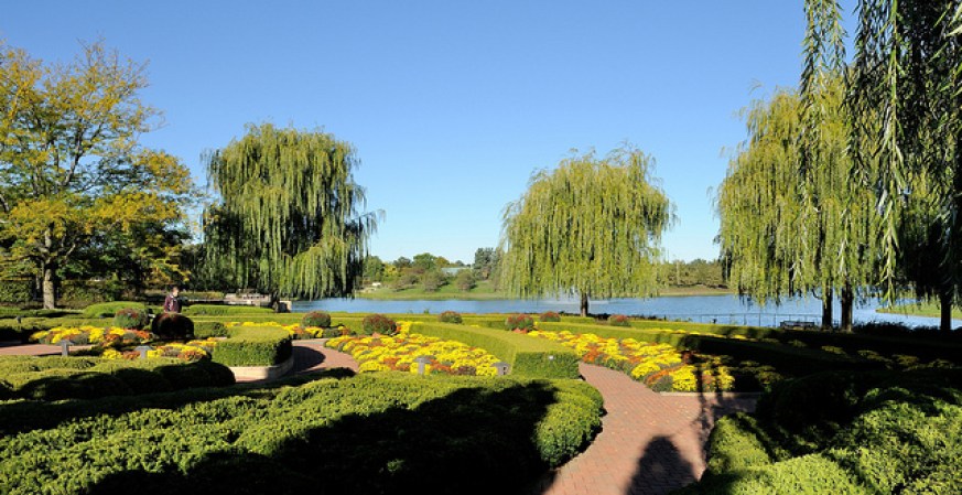 Situado en el 1000 Lake Cook Road, en Glencoe, el Chicago Botanic Garden es un oasis de 385 acres de naturaleza en su expresión más bella. Funciona como un museo vivo, con 26 jardines y especies de todo el planeta.