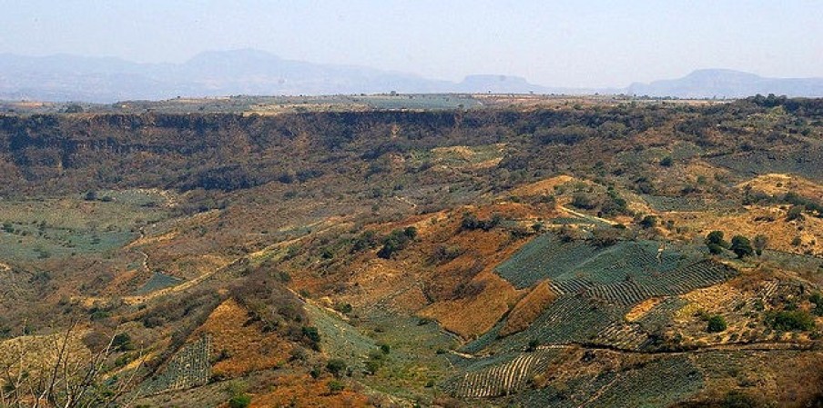 Los estados contemplados por la norma de la Denominación de Origen son Jalisco, Michoacán, Tamaulipas, Nayarit y Guanajuato. En la imagen, la barranca de Tequila, Jalisco.
