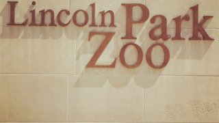 [chicagogram] Lincoln Park Zoo on a sunny day.