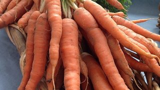 [phillygram] @n3rdmrkt always makes Tuesdays a little brighter. #n3rdst #n3rdstmarket #taprootfarms #carrots #pretty #eatlocal #phillygram #vegout