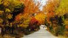 Parque estatal de Illinois entre los mejores del país para apreciar el otoño