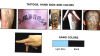 Pandillas de Chicago: tatuajes, insignias y colores representativos