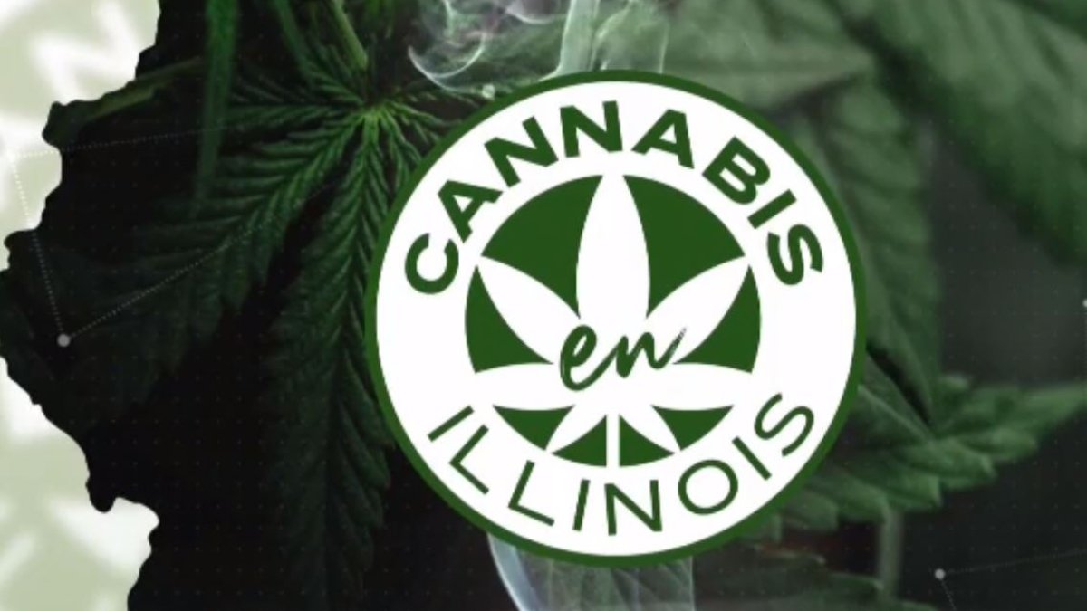 Cannabis legal en Illinois: expertos aclaran dudas y contestan preguntas –  Telemundo Chicago