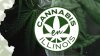 Marihuana 101: lo que debes saber sobre el cannabis legal en IL