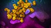 Coronavirus en IL: llegan a 32 los casos, CPS no cerrará
