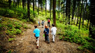 Group of young kids walking on trail in the woods with camp counselor at summer camp