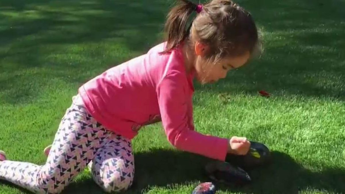 Seguridad Para Niños Pasajeros 2025: Leyes Por Estado, image size:1200x675