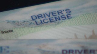 Maine Driver's License Generic
