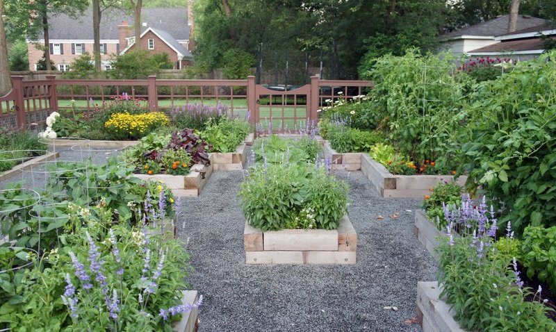 OrganicFarmWinnetka
