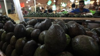 aguacate-mexicano-exportacion