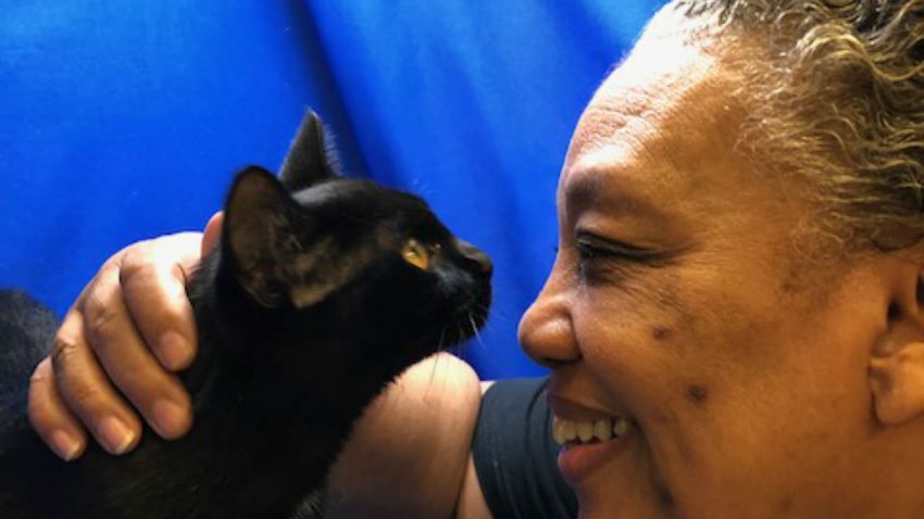 chicago animal care control