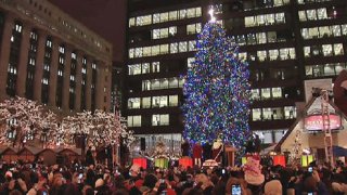chicago-christmas-tree-11-21
