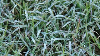 frost-warning