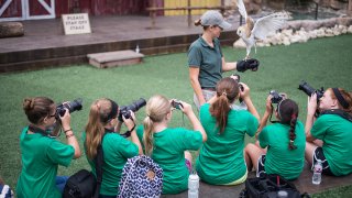 fw-zoo-summer-camp