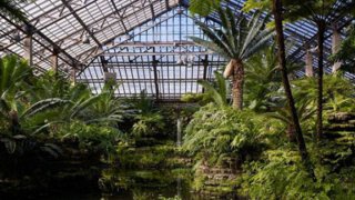 Celebrate the Cubs' Win at Garfield Park Conservatory