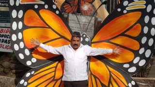 Activista defensor de la mariposa monarca