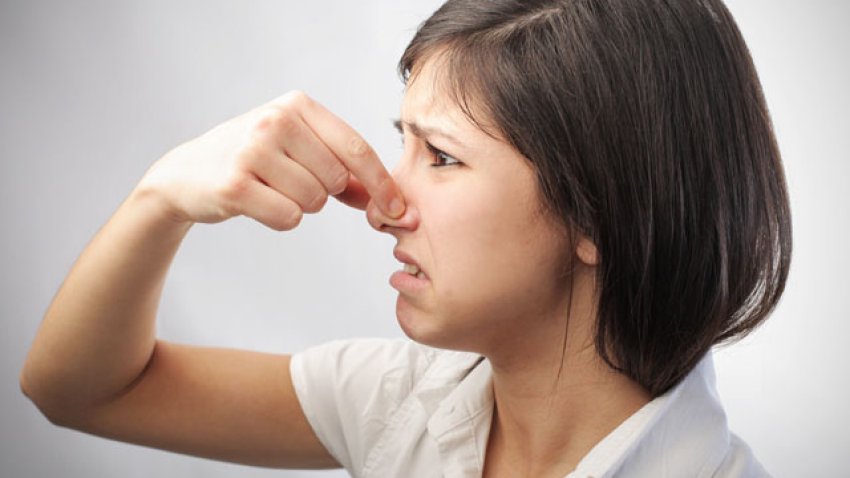 odor_bad_smell