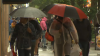 Pronóstico de Chicago: Lluvias y tormentas que traerán “aguaceros torrenciales” en camino