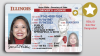 Otra vez extienden fecha de vencimiento de licencias de conducir y tarjetas de identificación en Illinois