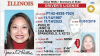 REAL ID en Illinois: documentos y requisitos necesarios para la nueva tarjeta de identificación