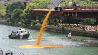 rubber ducky derby megan