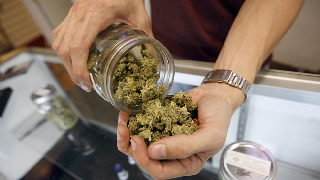 tlmd_berkeley_marihuana_medicinal