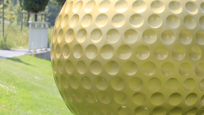 tlmd_golfballgi