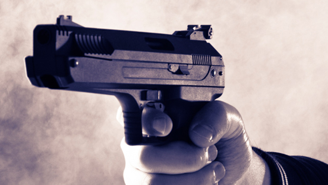 tlmd_gunviolencegi