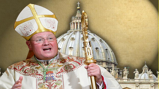 tlmd_papafx