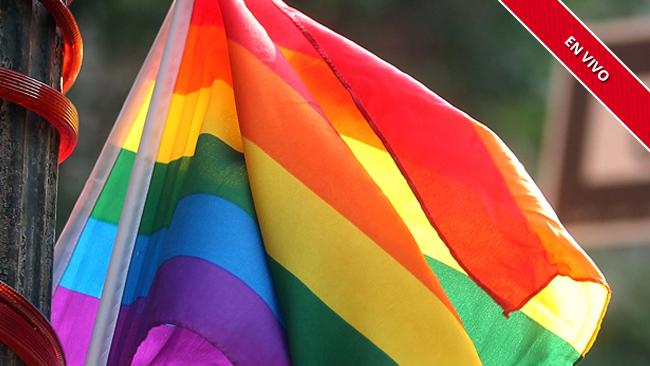 tlmd_pride_parade_envivojpg_bim