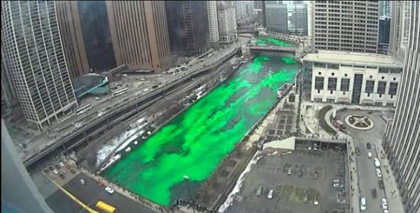 tlmd_video_sanpatricio_2014