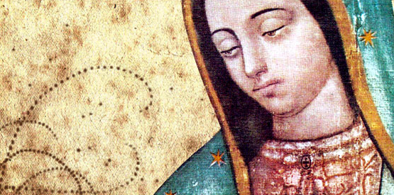 tlmd_virgen_guadalupe_ojos