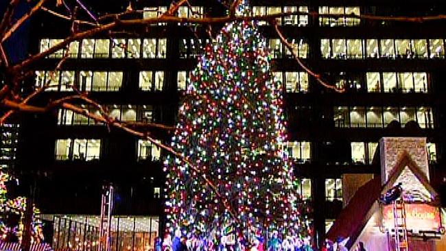 tlmd_xmastree4jpg_bim