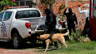 Peritos forenses en Jalisco