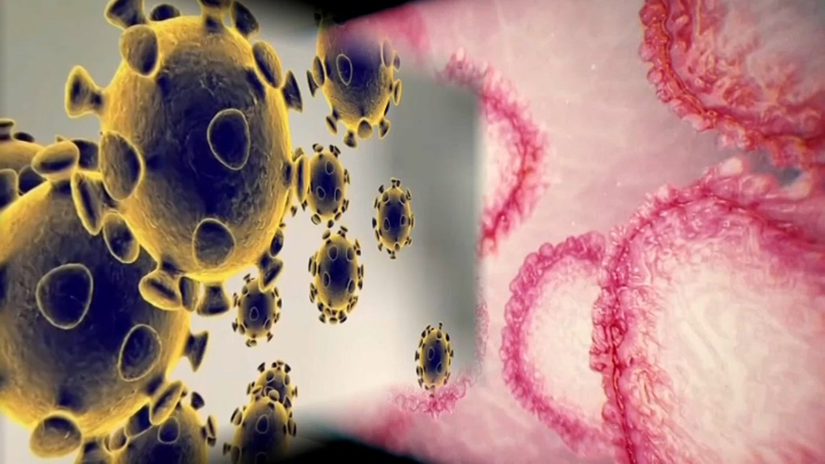 Nueva cepa del coronavirus lo que se sabe hasta el momento Telemundo