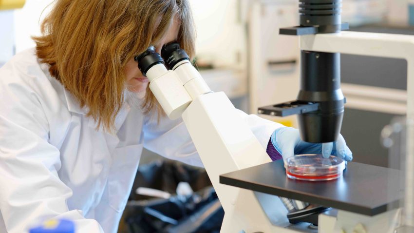 investigación del coronavirus
