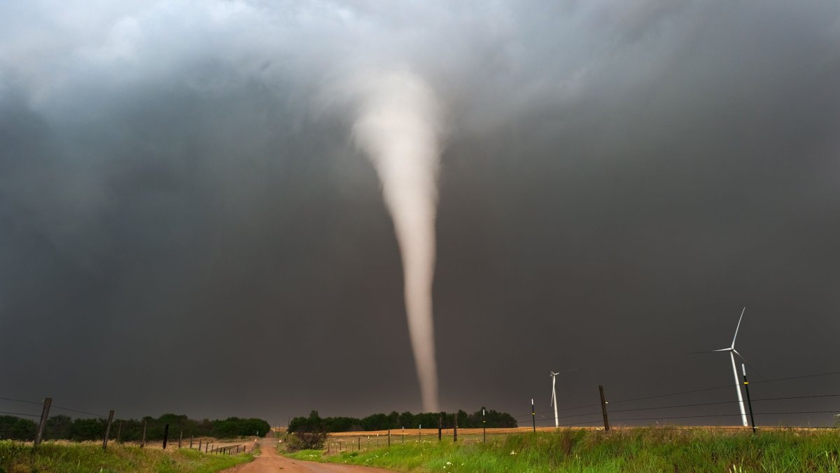 Pas W Którym Najczęściej Występują Tornada W Ameryce Północnej Tornado arrasa con una ciudad en Alabama; hay al menos un muerto